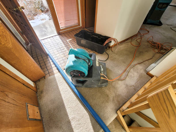 Water damage restoration mold remediation in Asbury Lake, FL