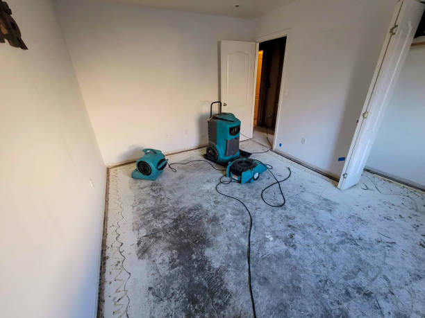 Best Commercial water damage restoration  in Asbury Lake, FL
