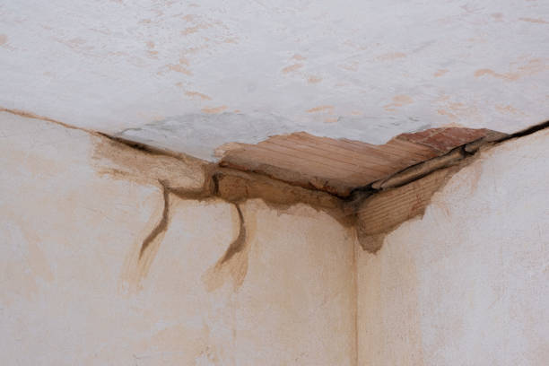 Best Water damage cleanup near me  in Asbury Lake, FL