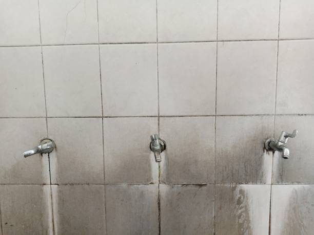 Sewage cleanup and water damage restoration in Asbury Lake, FL