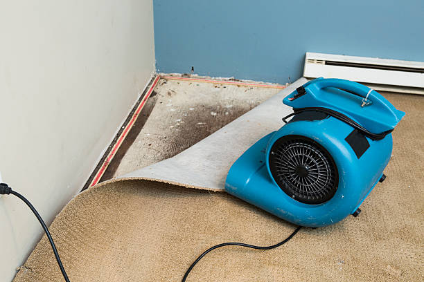Best Residential water damage restoration  in Asbury Lake, FL